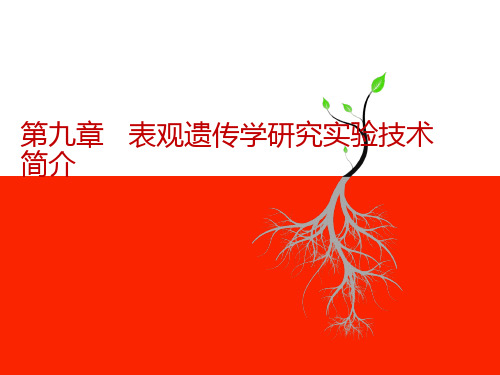 第九章  表观遗传学研究实验技术简介
