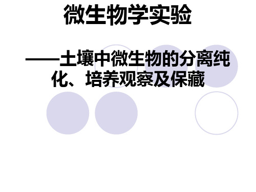 土壤中微生物的分离纯化、培养观察及保藏