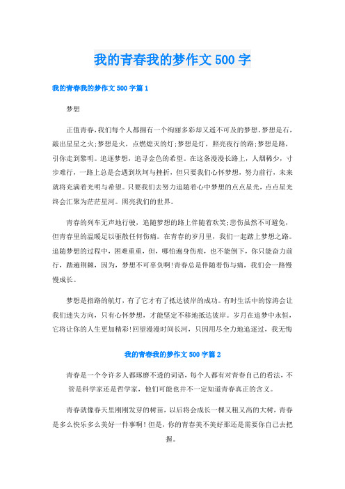 我的青春我的梦作文500字