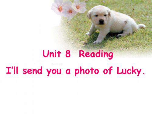 (已修改)新目标九年级英语Unit8reading课件