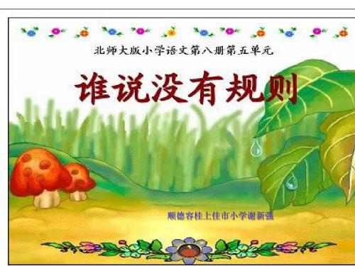 四年级_谁说没有规则课件[1]