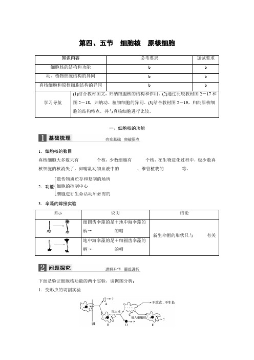 2018版高中生物浙科版必修一学案：2.4+细胞核+原核细胞