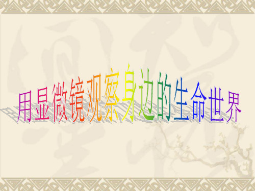 六年级下册科学课件-1.6 用显微镜观察身边的生命世界(二)｜教科版 (共11张PPT)