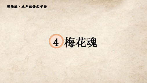 《梅花魂》PPT—人教部编版梅花魂优秀课件10