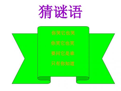 苏教版小学科学五年级上册《照镜子》课件_(科学课件)