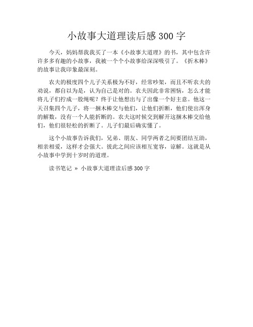 小故事大道理读后感300字