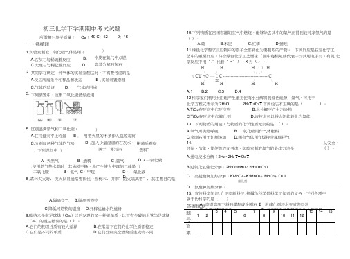 (word完整版)初三化学下学期期中考试试题