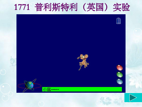 绿色植物的光合作用修改