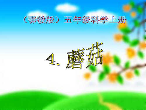 4蘑菇
