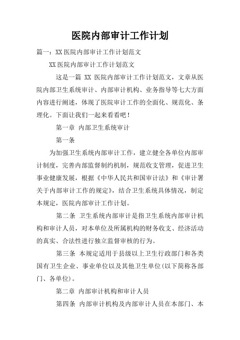 医院内部审计工作计划doc