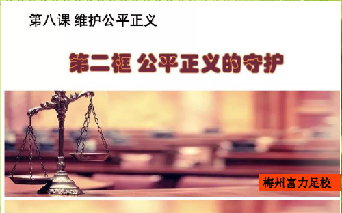 人教版道德与法治八年级下册 8.2公平正义的守护 课件 (共20张PPT)