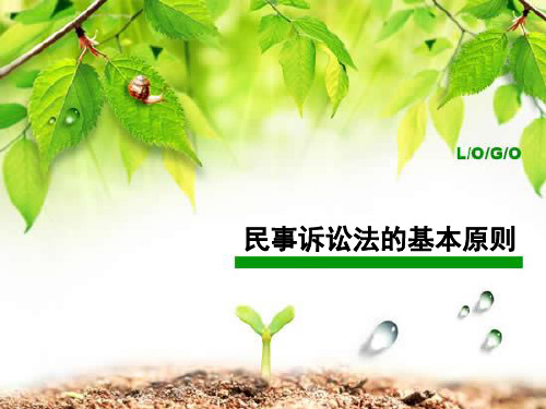 民事诉讼法的基本原则和基本制度