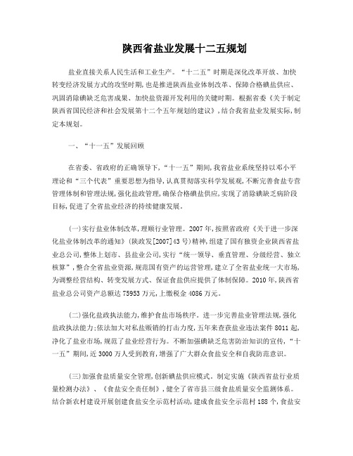 陕西省盐业发展十二五规划