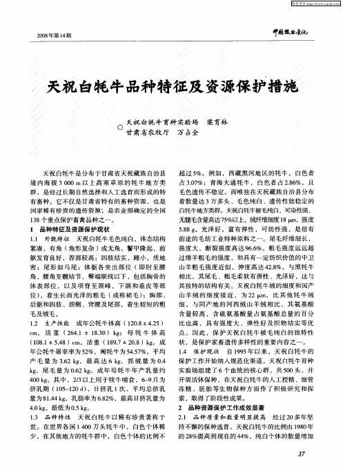 天祝白牦牛品种特征及资源保护措施