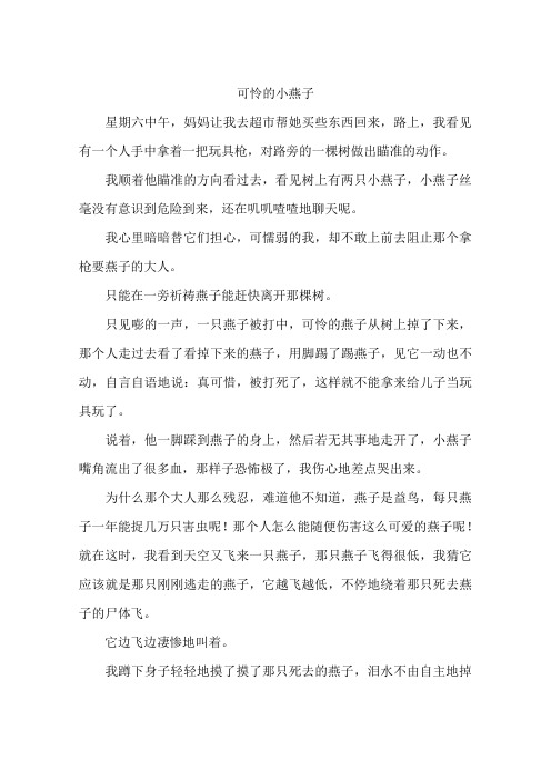 可怜的小燕子-作文