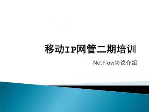 NetFlow协议介绍