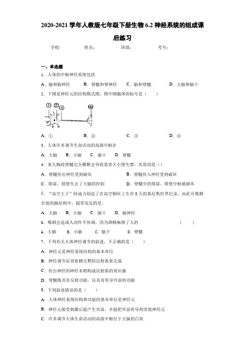 2020-2021学年人教版七年级下册生物6.2神经系统的组成课后练习