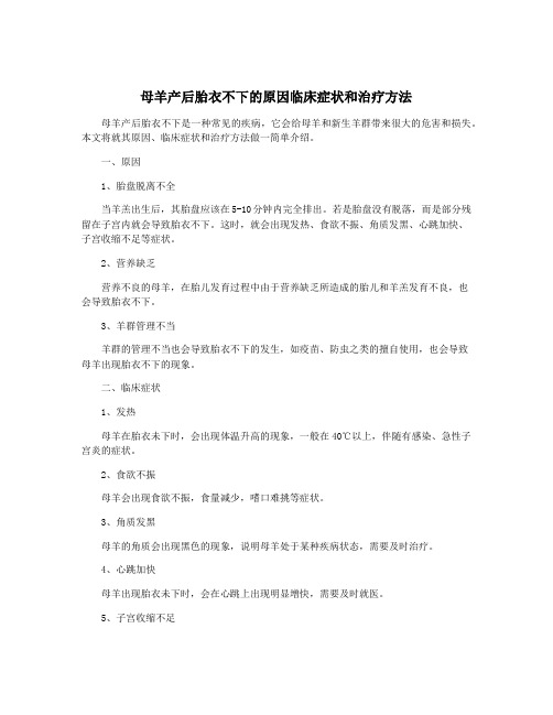 母羊产后胎衣不下的原因临床症状和治疗方法