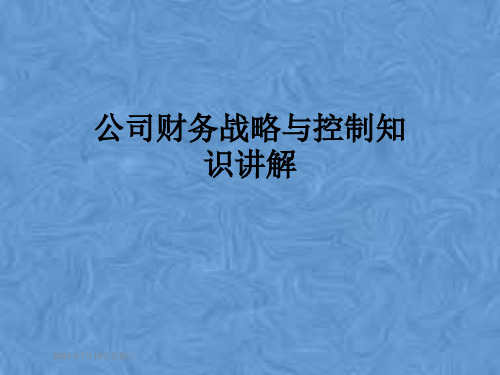 公司财务战略与控制知识讲解
