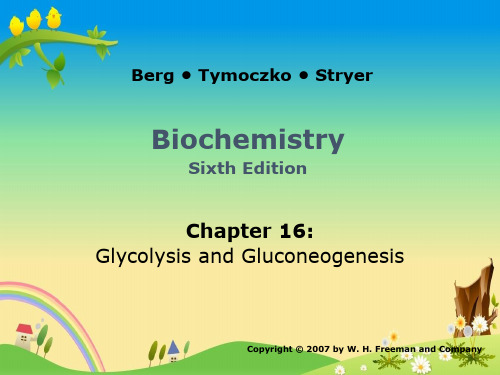 上海交大 生物化学831 精品讲义：16 Glycolysis and Gluconeogenesis