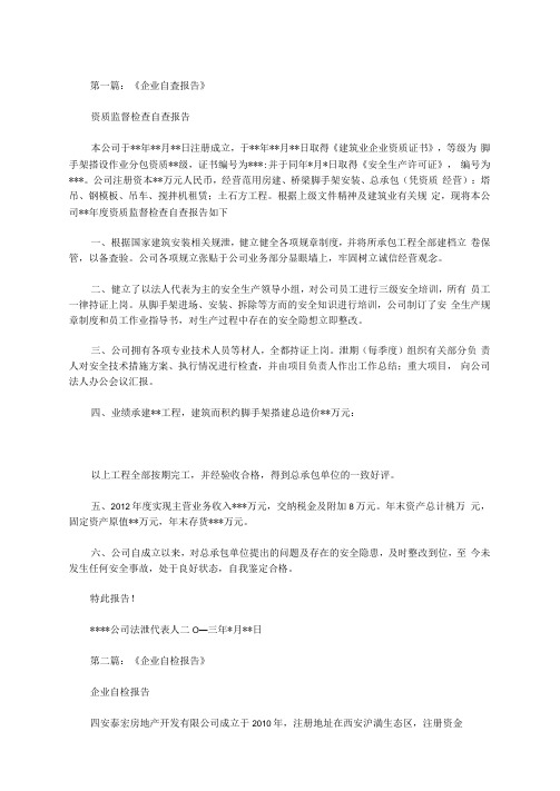 企业检查报告范文