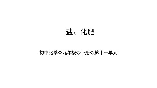 人教版九年级化学 第十一单元 盐、化肥 复习课件(共22张PPT)