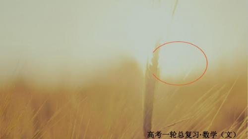 2018版高考一轮总复习数学文课件 高考大题冲关系列6 