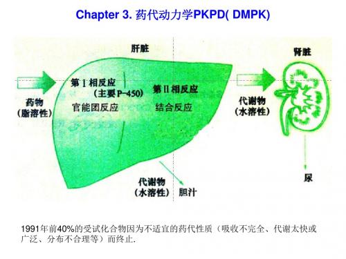Chapter 3. 药代动力学PKPD( DMPK)