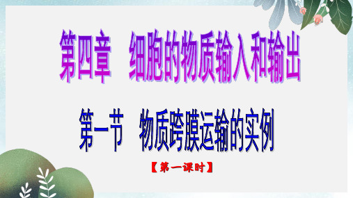 高中生物第四章细胞的物质输入和输出4.1物质跨膜运输的实例课件1新人教版必修1