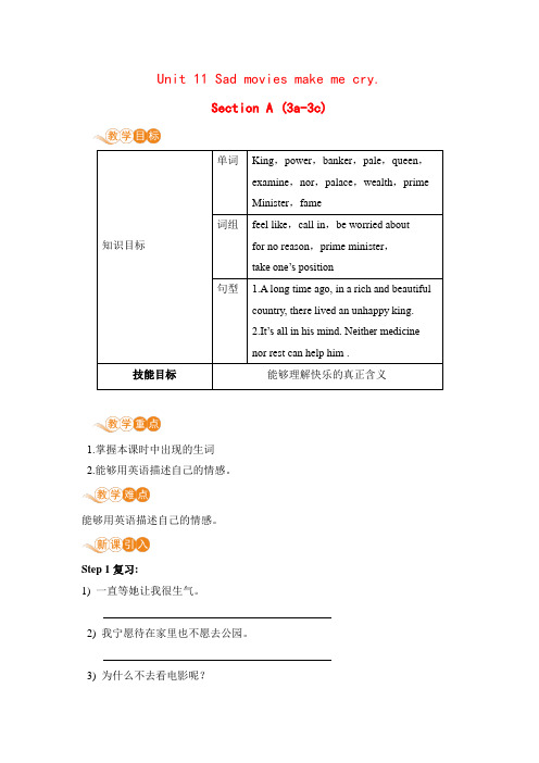 人教版英语九年级全一册 Unit11 课时2 Section A 3a-3c 教案