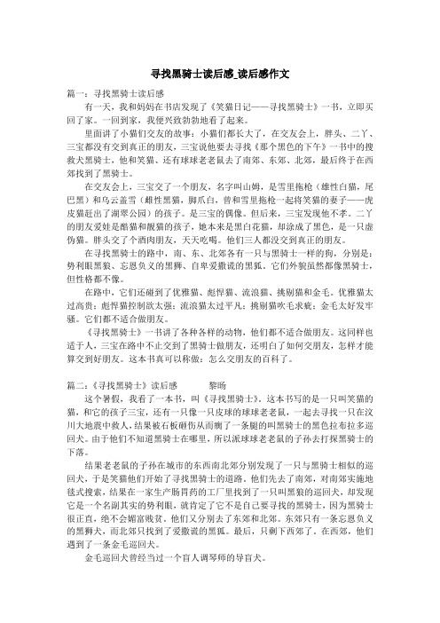 寻找黑骑士读后感_读后感作文