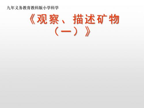 人教版四年级上册科学3.1多样的岩石课件