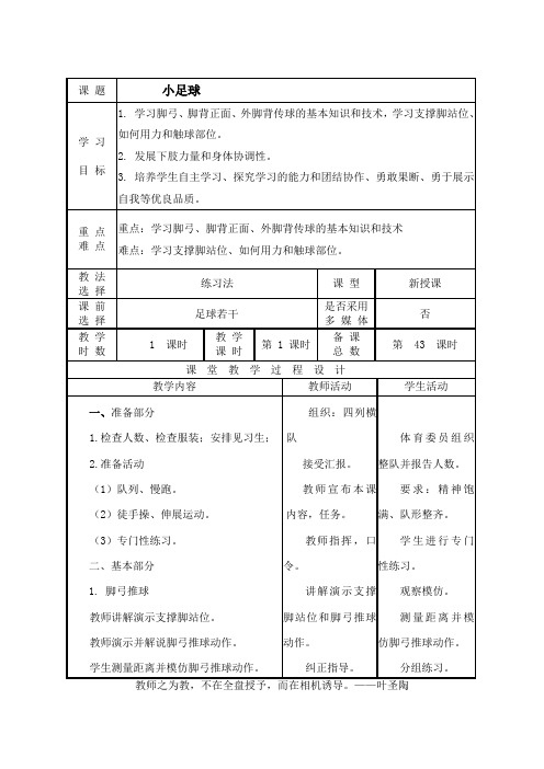 43小足球