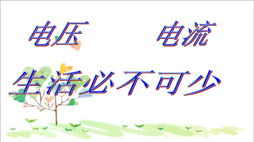 初中物理九年级上册《14第5节 测量电压》PPT课件 (5)