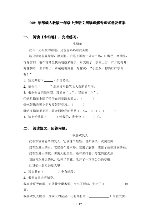 2021年部编人教版一年级上册语文阅读理解专项试卷及答案