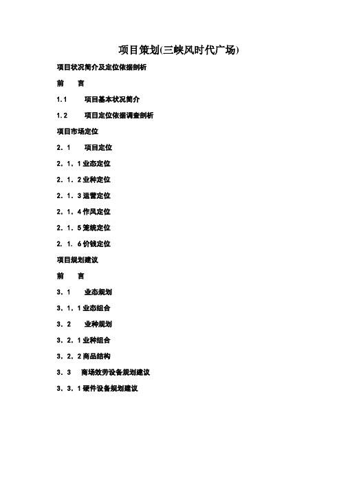项目策划(三峡风时代广场)