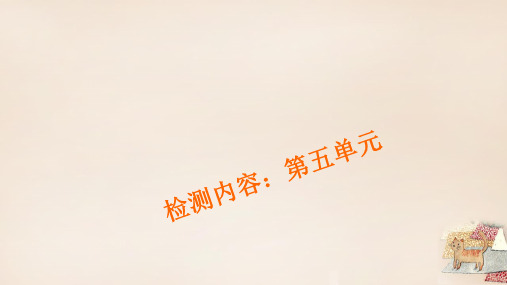 【四清导航】学年八年级语文下册 第五单元 单元清五 新人教版PPT课件