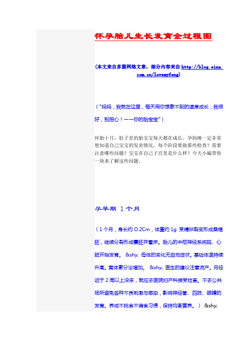 婴儿发育全过程