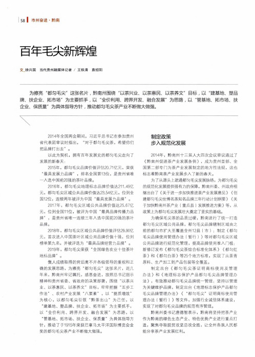百年毛尖新辉煌