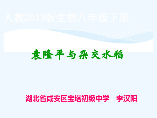 科学家的故事袁隆平与杂交水稻