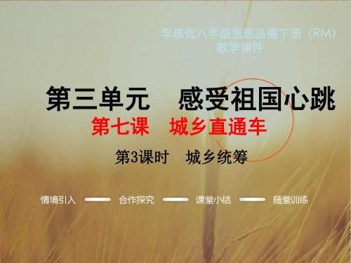 初中政治最新课件-感受祖国心跳10 精品