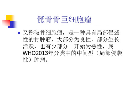 骶骨骨巨细胞瘤影像