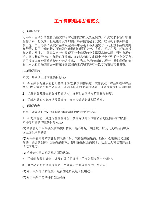 工作调研迎接方案范文