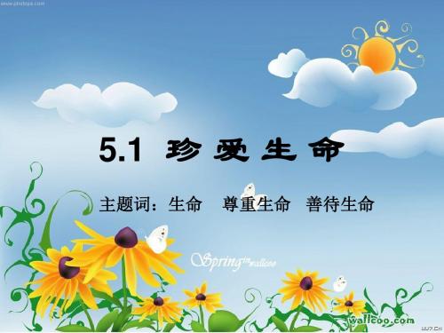 5.1珍爱生命课件