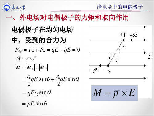 11静电场中的电偶极子