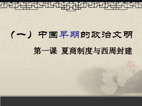 一中国早期的政治文明.ppt