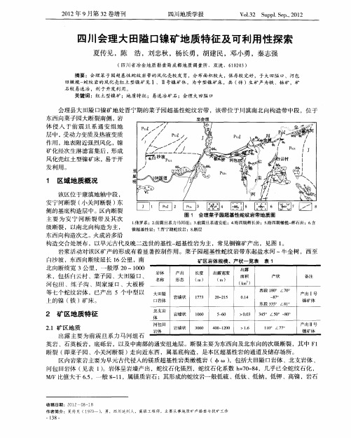 四川会理大田隘口镍矿地质特征及可利用性探索