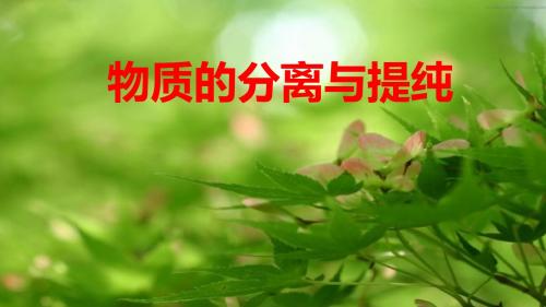 物质的分离和提纯