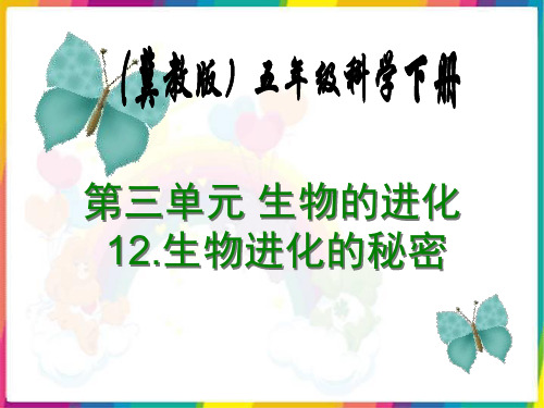 最新冀教版五年级科学下册《生物进化的秘密》精品课件