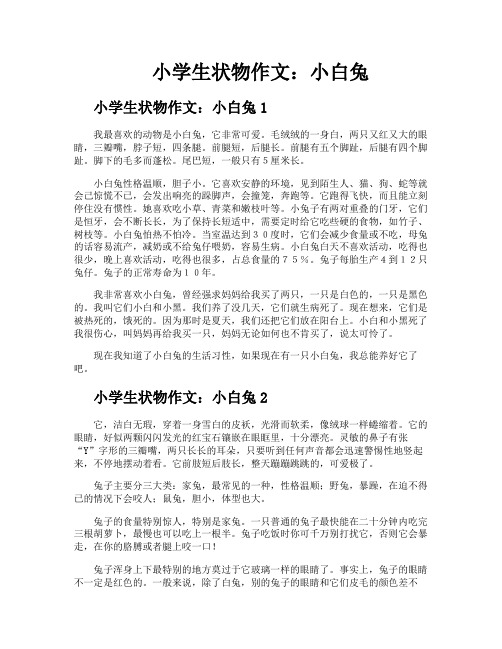 小学生状物作文小白兔